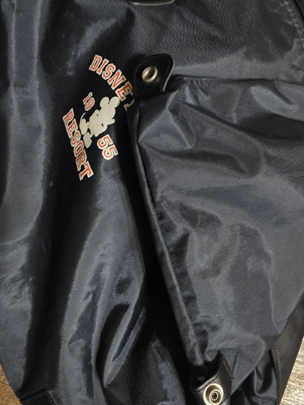 Disney nwt large